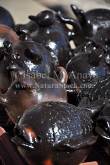 ID: 4811 (10113)