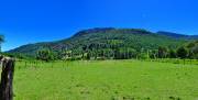 ID: 7296 (10109)