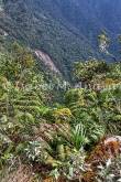 ID: 6823 (10904)