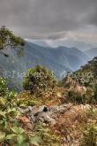 ID: 6834 (10904)