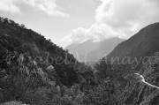 ID: 6842 (10904)