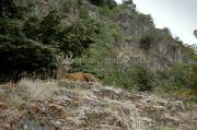 ID: 4852 (30201)