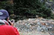 ID: 4870 (30201)