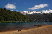 ID: 1031 (10109)