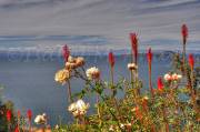 ID: 6973 (10902)