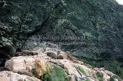 ID: 4843 (30202)