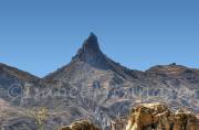 ID: 7010 (10901)