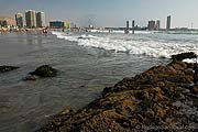 ID: 2735 (10101)