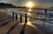 ID: 3537 (10106)