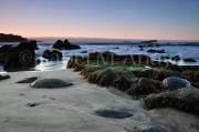 ID: 5987 (10105)