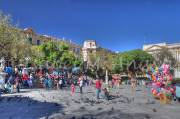 ID: 7028 (10901)