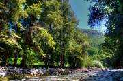 ID: 8396 (10109)